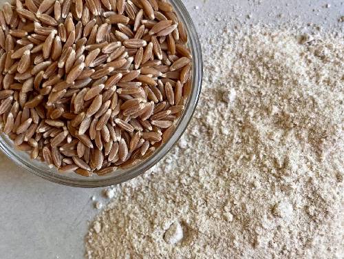 Emmer Wheat