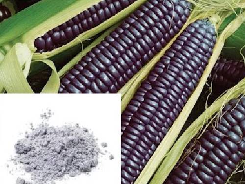 Blue Corn Flour